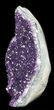 Dark Purple Amethyst Cut Base Cluster - Uruguay #36494-1